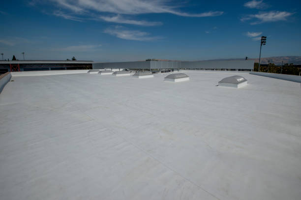 Best Solar Panel Roofing Installation  in Independence, VA